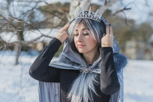 Retrato Reina Nieve Moda Con Una Corona Cristal Joyas Lujo — Foto de Stock
