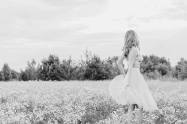 Çiçekler ve tarlada romantik bir kadın. Işıl ışıl akşam güneşi, Güzel Romantik Kız Açık Hava. Uzun saç üfleme. Sonbahar. Işıldayan Güneş, Gün ışığı. Sıcak renklerde tonlanmış.