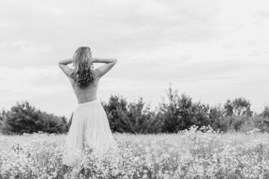 Çiçekler ve tarlada romantik bir kadın. Işıl ışıl akşam güneşi, Güzel Romantik Kız Açık Hava. Uzun saç üfleme. Sonbahar. Işıldayan Güneş, Gün ışığı. Sıcak renklerde tonlanmış.