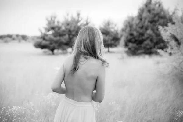 Bloemen Romantische Vrouw Het Veld Lichte Avondzon Beauty Romantic Girl — Stockfoto