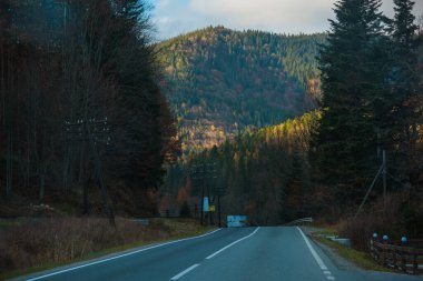 Orman ve dağ manzarası, yolculuk ve seyahat kavramı. Avrupa manzara manzarası, güzel bir yerde hafta sonu konsepti