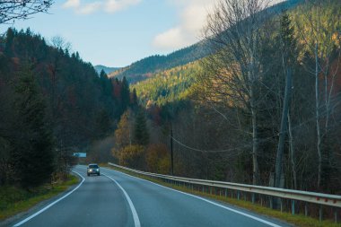 Orman ve dağ manzarası, yolculuk ve seyahat kavramı. Avrupa manzara manzarası, güzel bir yerde hafta sonu konsepti