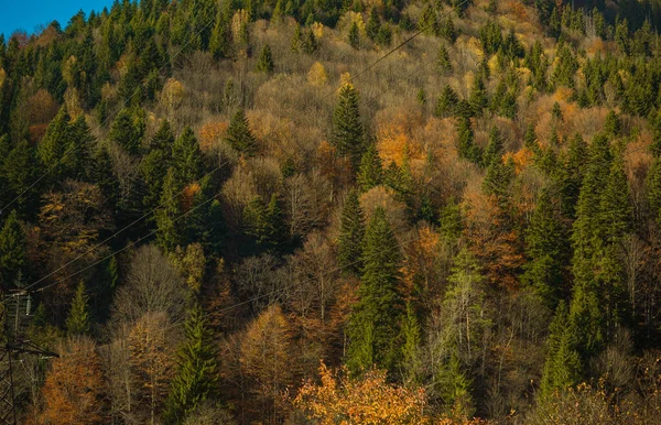 Вид Лес Горы Концепция Путешествия Путешествия Вид Европейский Пейзаж Концепция — стоковое фото