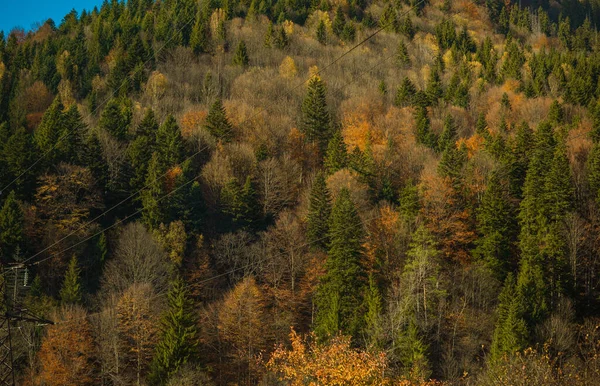 Vista Sulla Foresta Sulle Montagne Concetto Viaggio Viaggio Vista Del — Foto Stock