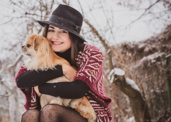 Woman Small Golden Dog Wear Blue Wool Coat Knitted Scarf — Stock Photo, Image