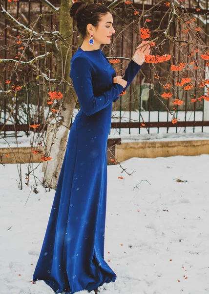 Виразна Арабська Жінка Довгій Синій Сукні Сніговому Саду Концепція Жіночності — стокове фото