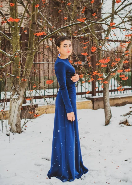 Elegante Araberin Langem Blauen Kleid Einem Verschneiten Garten Konzept Von — Stockfoto