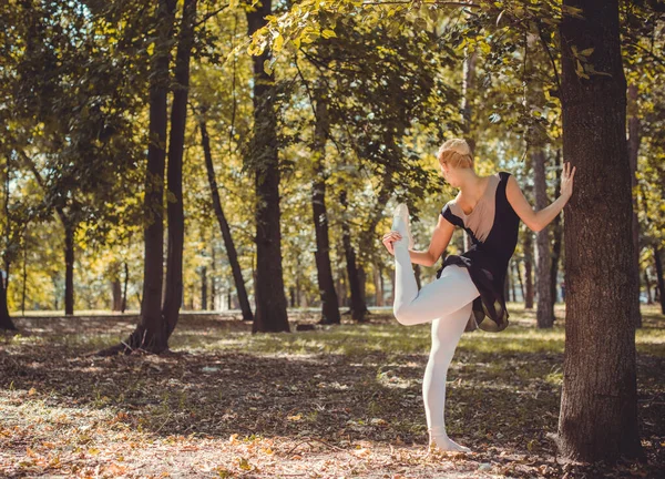 Balettdansare Som Dansar Stadsparken Sensuell Ballerina Naturen Ballerina Gatan Ballerina — Stockfoto