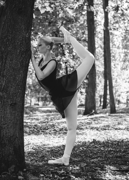 Ballerino Che Balla Nel Parco Cittadino Ballerina Sensuale Natura Ballerina — Foto Stock