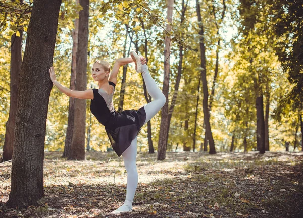 Ballerino Che Balla Nel Parco Cittadino Ballerina Sensuale Natura Ballerina — Foto Stock