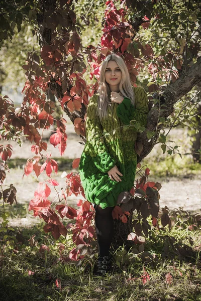 Sonbahar Sonbahar Sezonu Büyük Beden Kadınlar Için Gündelik Tarz Moda — Stok fotoğraf