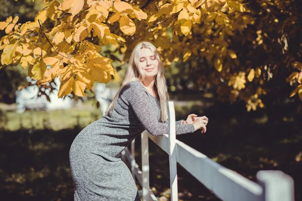 Herfst Herfstseizoen Casual Stijl Voor Size Dames Modieuze Kleding Outfit — Stockfoto