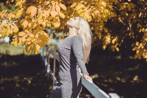 Herbst Herbstsaison Lässiger Stil Für Size Damen Modische Kleidung Und — Stockfoto