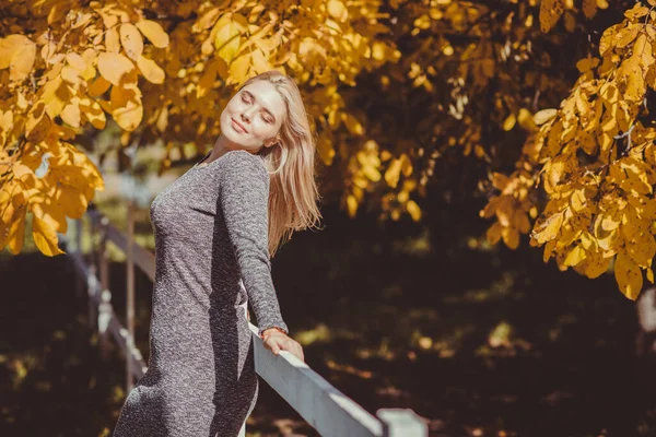 Herbst Herbstsaison Lässiger Stil Für Size Damen Modische Kleidung Und — Stockfoto