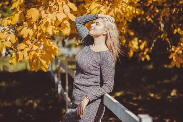 Autunno Stagione Autunnale Stile Casual Donne Size Abiti Alla Moda — Foto Stock