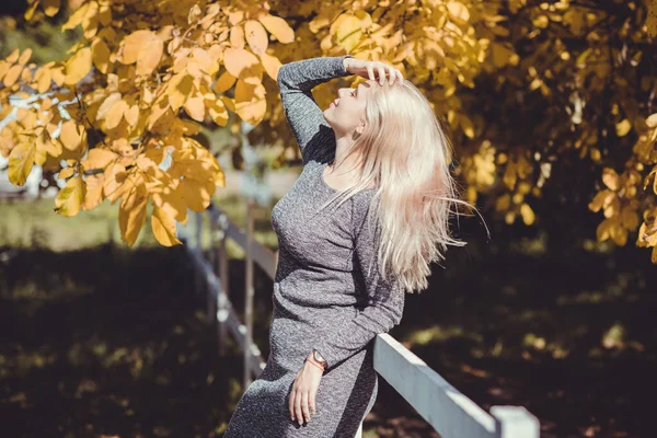 Herbst Herbstsaison Lässiger Stil Für Size Damen Modische Kleidung Und — Stockfoto