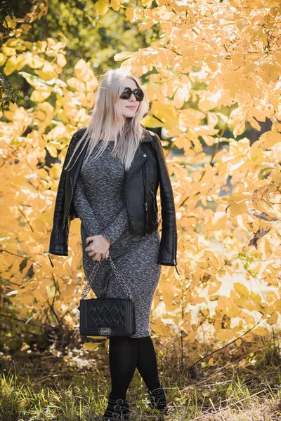 Осень Осень Сезон Случайный Стиль Плюс Размер Женщин Элементы Модной — стоковое фото