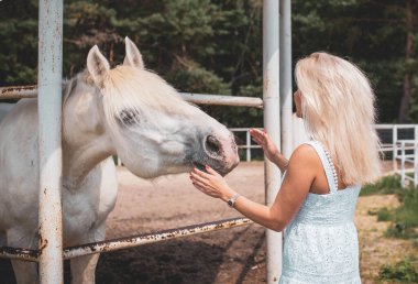Bahar - yaz mevsimi, hobi konsepti, at süren kadın, insan ve hayvan ilişkisi.