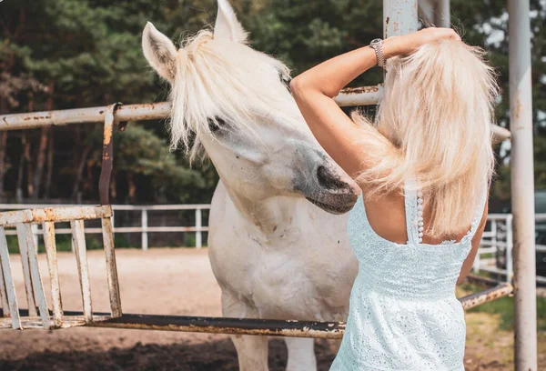 Άνοιξη Καλοκαιρινή Περίοδος Έννοια Του Χόμπι Γυναίκα Ένα Άλογο Μια — Φωτογραφία Αρχείου