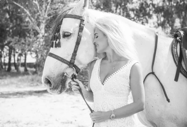 春夏季节 业余爱好的概念 与马相处的女人 人与动物的关系 — 图库照片