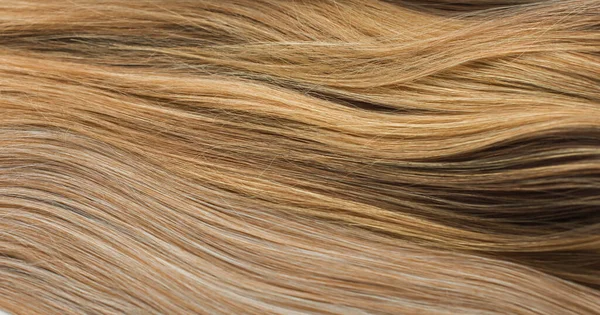 Varkens Natuurlijk Synthetisch Haar Het Schoonheidsconcept Voor Vrouwen Close Foto — Stockfoto