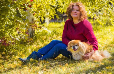 Küçük altın köpeği olan hoş bir bayan, evcil hayvan konsepti, köpek en iyi insan dostudur.