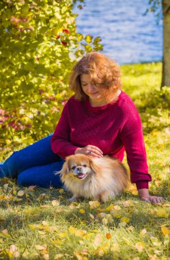 Küçük altın köpeği olan hoş bir bayan, evcil hayvan konsepti, köpek en iyi insan dostudur.