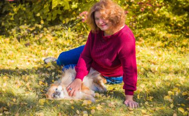Küçük altın köpeği olan hoş bir bayan, evcil hayvan konsepti, köpek en iyi insan dostudur.