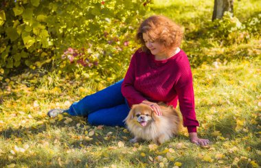Küçük altın köpeği olan hoş bir bayan, evcil hayvan konsepti, köpek en iyi insan dostudur.