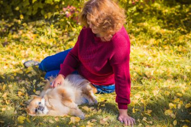 Küçük altın köpeği olan hoş bir bayan, evcil hayvan konsepti, köpek en iyi insan dostudur.