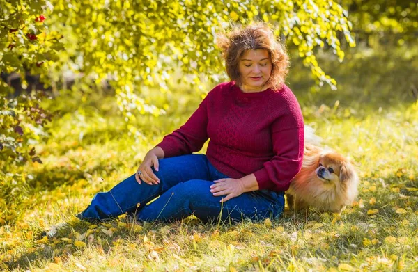Küçük altın köpeği olan hoş bir bayan, evcil hayvan konsepti, köpek en iyi insan dostudur.