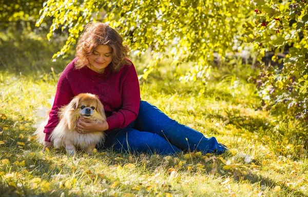 Küçük altın köpeği olan hoş bir bayan, evcil hayvan konsepti, köpek en iyi insan dostudur.