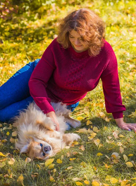 Niza Dama Con Pequeño Perro Dorado Concepto Mascotas Perro Mejor — Foto de Stock