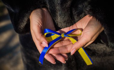Ukrayna özgürlüğü. Küçük sarı mavi bayrak. Ukrayna protestosunun detayları. Zafer konsepti