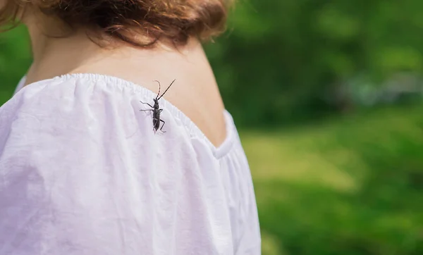 Beetle sits on the woman shoulder. Insect nature and human concept, eco lifestyle