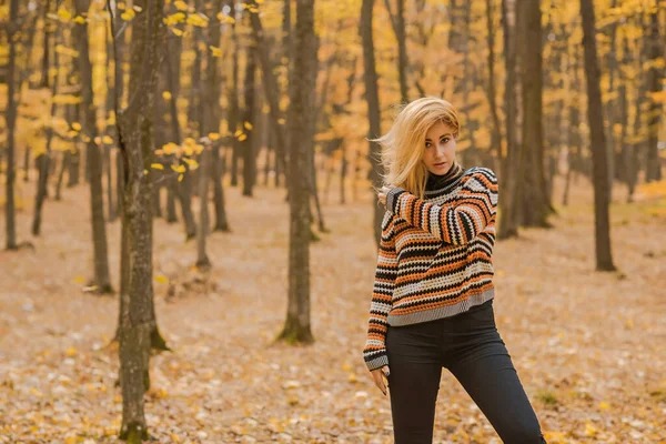 Autumn Time Woman Warm Clothes New Collection Black Orange Sweater — Stok fotoğraf
