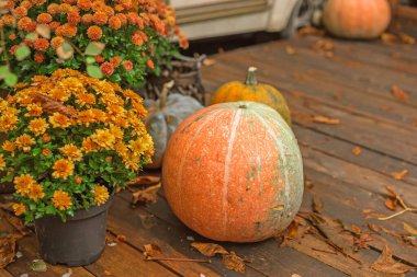 Bahçede sonbahar balkabakları, ev dekorasyonu ve tasarımı, güzel ev manzarası fikirleri