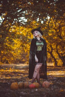 Cadılar Bayramı zamanı, Gizemli Ormandaki Cadı Kadın, Ekim atmosferi, cadılık konsepti, gizemli parti fikirleri 