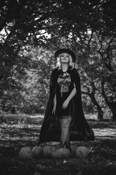 Halloween Time Μάγισσα Lady Mystical Forest Οκτώβριος Ατμόσφαιρα Μαγεία Έννοια — Φωτογραφία Αρχείου