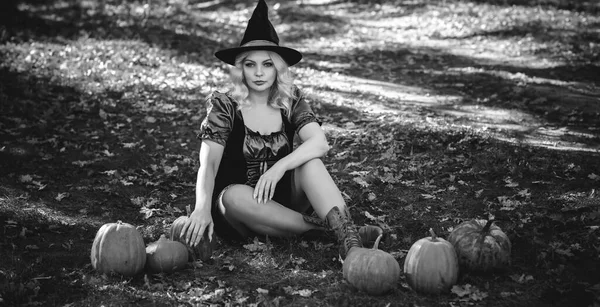 Halloween Dame Sorcière Dans Forêt Mystique Atmosphère Octobre Concept Sorcellerie — Photo