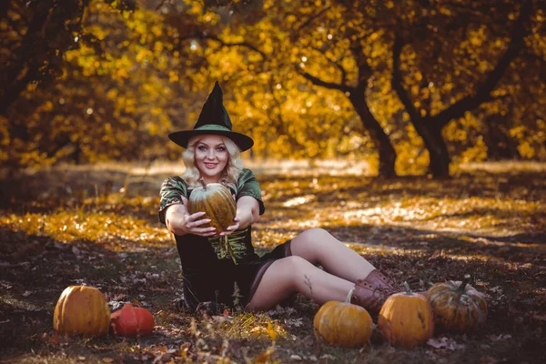 Halloween Čas Čarodějnice Mystickém Lese Říjen Atmosféra Čarodějnictví Koncept Nápady — Stock fotografie