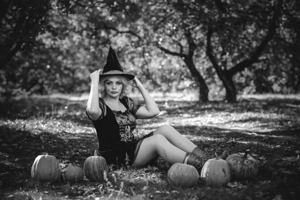 ハロウィーンの時間 魔法の森の女性 10月の雰囲気 魔女のコンセプト 神秘的なパーティーのアイデア — ストック写真