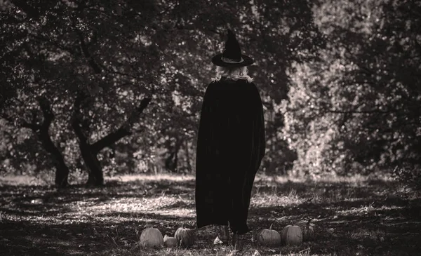 Halloween Idő Boszorkány Hölgy Mystical Erdő Október Hangulat Boszorkányság Koncepció — Stock Fotó