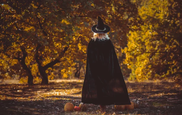 Tempo Halloween Senhora Bruxa Floresta Mística Atmosfera Outubro Conceito Bruxaria — Fotografia de Stock