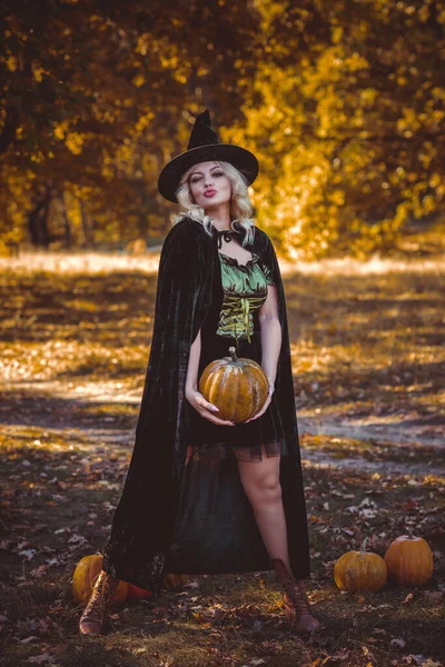 Halloween Tid Häxa Lady Mystisk Skog Oktober Atmosfär Häxeri Koncept — Stockfoto