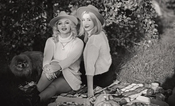 Dvě Blondýnky Pikniku Dámské Přátelství Milují Pojetí Vztahu Přátelé Životní — Stock fotografie