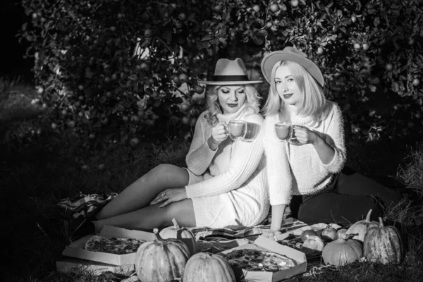 Dvě Blondýnky Pikniku Dámské Přátelství Milují Pojetí Vztahu Přátelé Životní — Stock fotografie