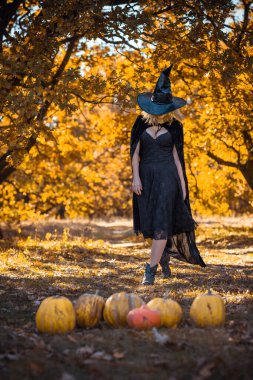 Siyah şapkalı ve elbiseli bir cadının mistik sahnesi, Cadılar Bayramı için pelerin, bayanlar için modaya uygun geleneksel karnaval kostümü.