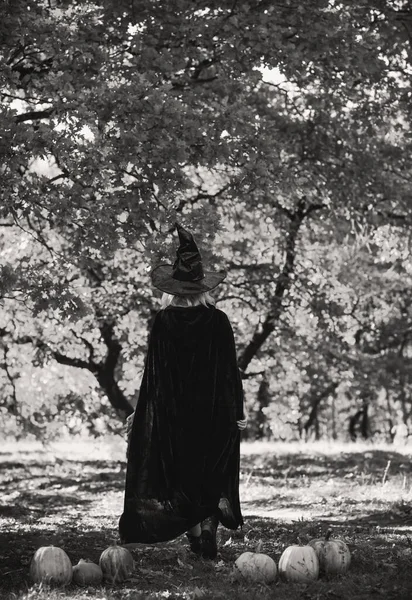 黒の帽子とドレスで魔女と神秘的なシーン ケープ ハロウィーンのためのスタイル 女性のファッショナブルなカーニバルの伝統衣装 — ストック写真