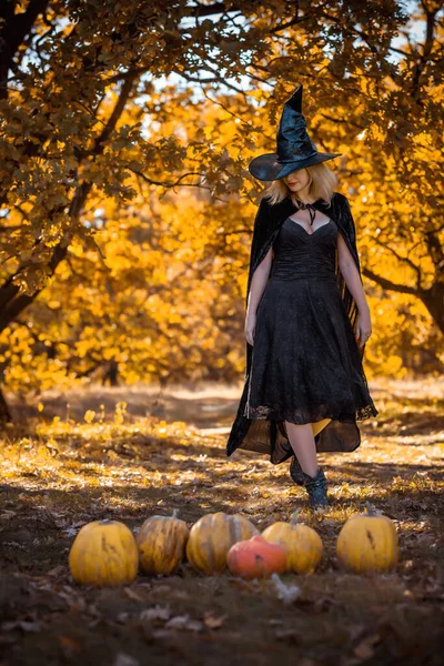 Mystical Scene Witch Black Hat Dress Köpeny Stílus Halloween Hölgyek — Stock Fotó